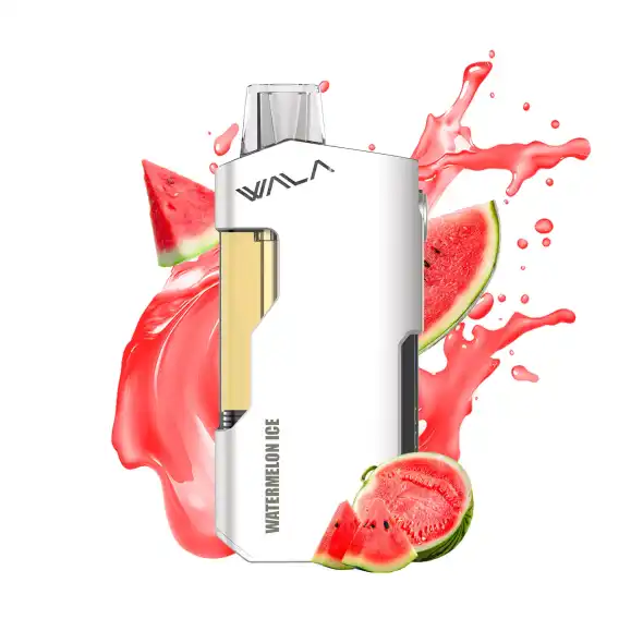 Disposable vapes online Australia - Strawberry Watermelon Ice 3500 puffs